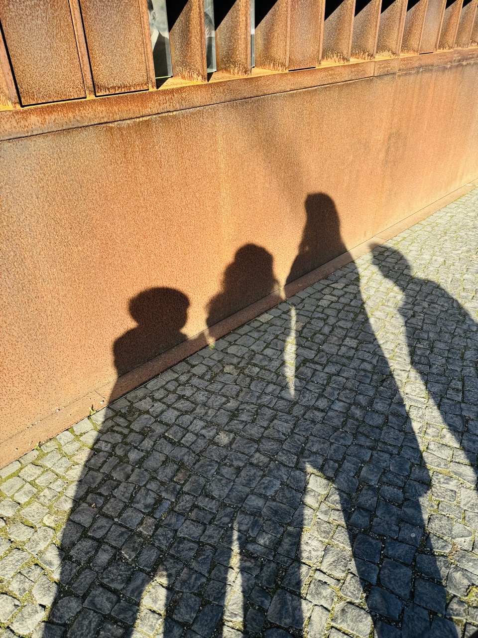 Undersøgelse og afdækning